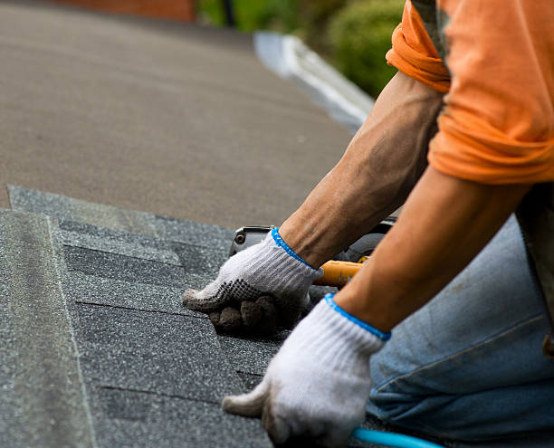Best Roof Gutter Cleaning  in Arlington, OH